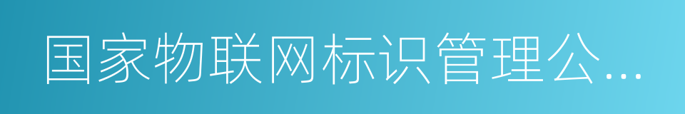 国家物联网标识管理公共服务平台的同义词