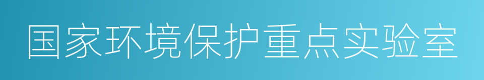 国家环境保护重点实验室的同义词