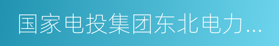 国家电投集团东北电力有限公司的同义词