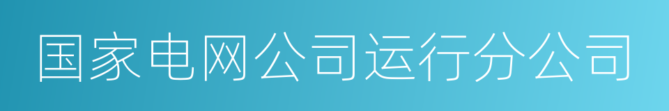 国家电网公司运行分公司的同义词