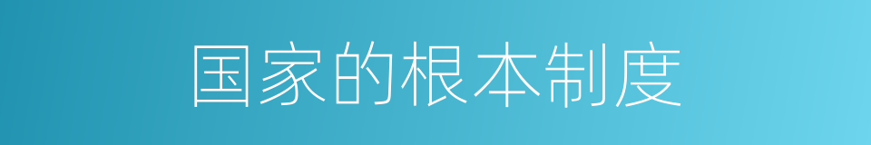 国家的根本制度的同义词