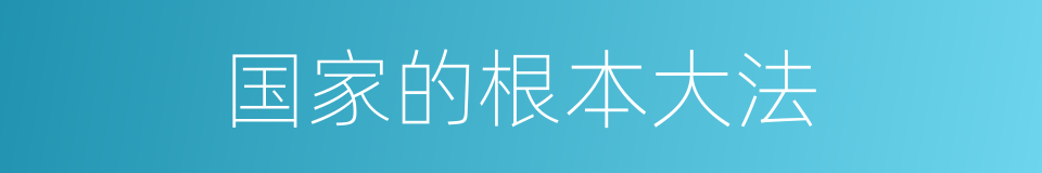 国家的根本大法的同义词