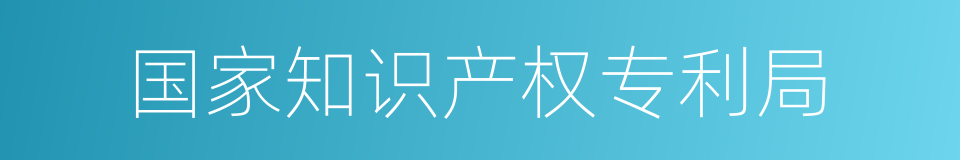 国家知识产权专利局的同义词