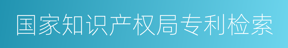 国家知识产权局专利检索的同义词