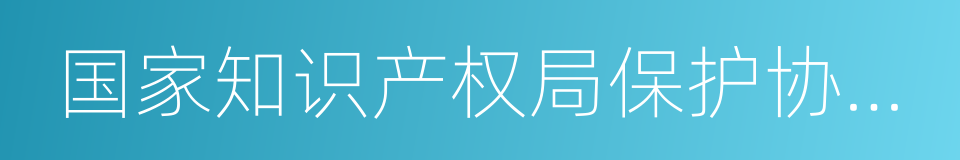 国家知识产权局保护协调司的同义词
