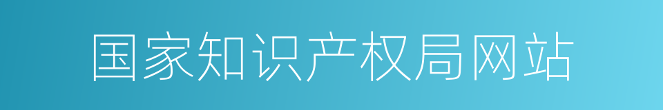 国家知识产权局网站的同义词