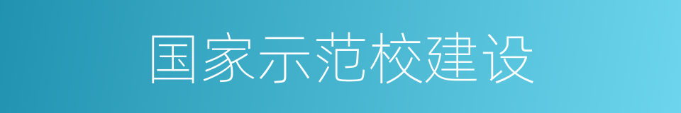 国家示范校建设的同义词