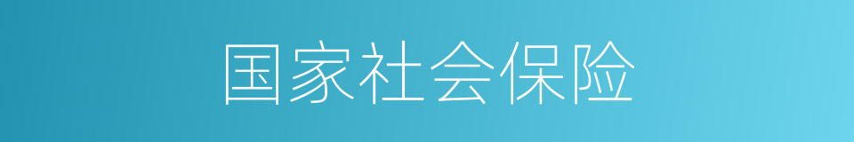 国家社会保险的同义词