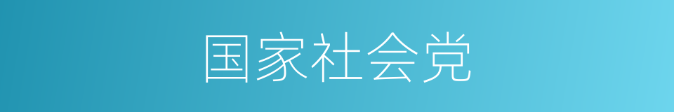 国家社会党的同义词