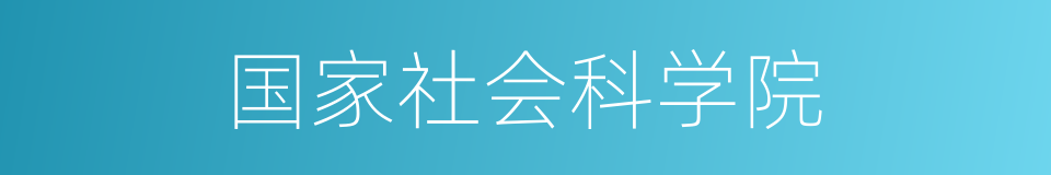 国家社会科学院的同义词