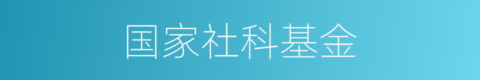 国家社科基金的同义词
