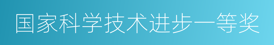 国家科学技术进步一等奖的同义词