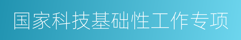 国家科技基础性工作专项的同义词