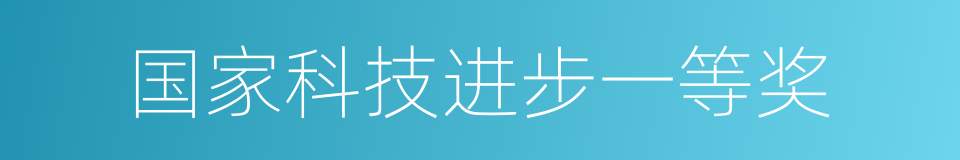 国家科技进步一等奖的同义词