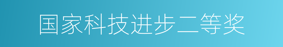 国家科技进步二等奖的同义词