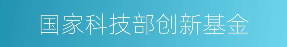 国家科技部创新基金的同义词