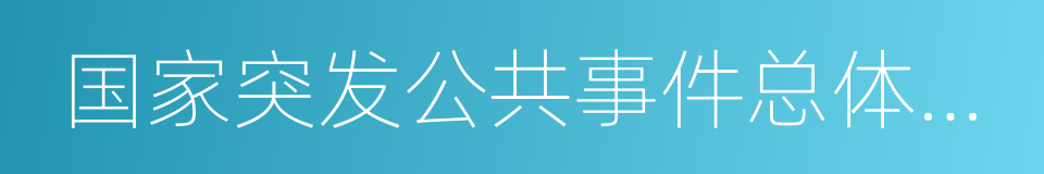 国家突发公共事件总体应急预案的同义词