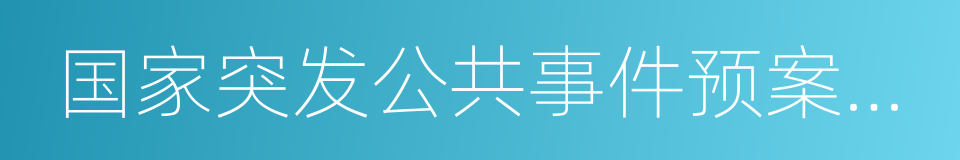 国家突发公共事件预案体系的同义词