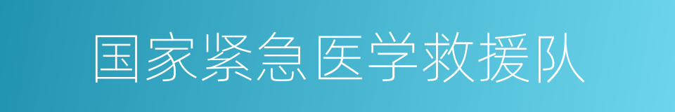 国家紧急医学救援队的同义词