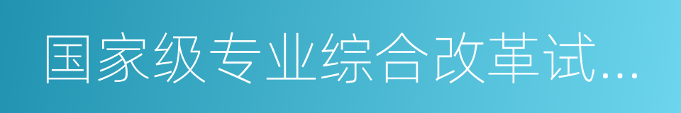 国家级专业综合改革试点项目的同义词