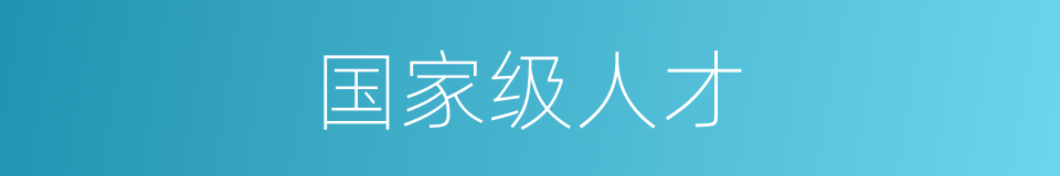国家级人才的同义词