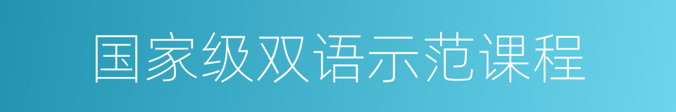 国家级双语示范课程的同义词