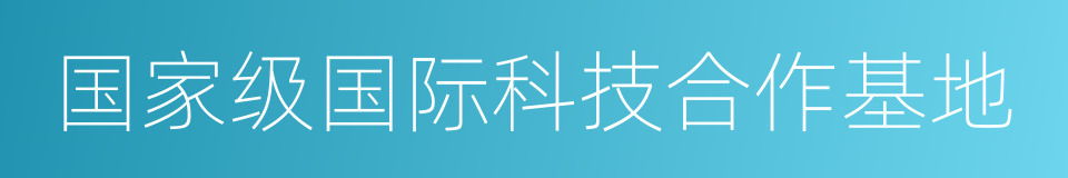 国家级国际科技合作基地的同义词