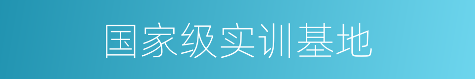 国家级实训基地的同义词