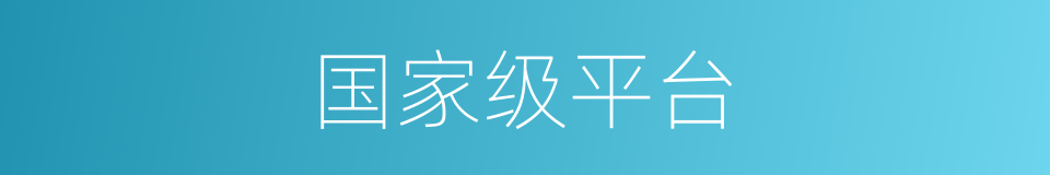 国家级平台的同义词