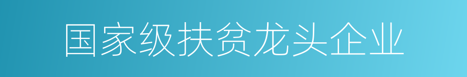 国家级扶贫龙头企业的同义词