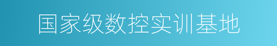 国家级数控实训基地的同义词