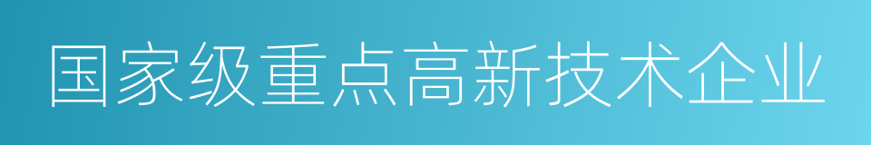 国家级重点高新技术企业的同义词