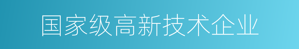 国家级高新技术企业的同义词