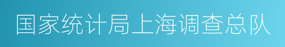 国家统计局上海调查总队的同义词