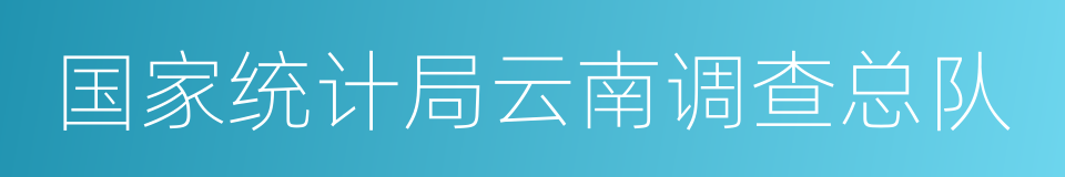 国家统计局云南调查总队的同义词