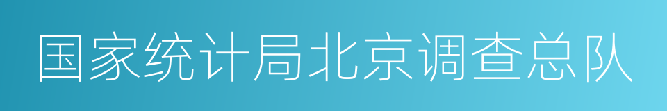 国家统计局北京调查总队的同义词