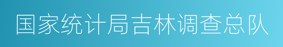 国家统计局吉林调查总队的同义词