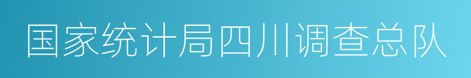 国家统计局四川调查总队的同义词