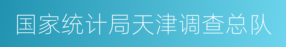 国家统计局天津调查总队的同义词