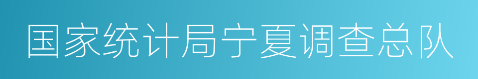 国家统计局宁夏调查总队的同义词