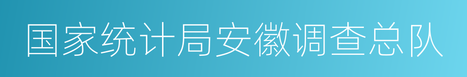 国家统计局安徽调查总队的同义词