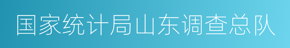 国家统计局山东调查总队的同义词