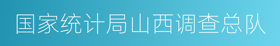 国家统计局山西调查总队的同义词