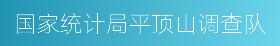 国家统计局平顶山调查队的同义词