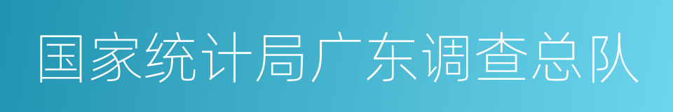 国家统计局广东调查总队的同义词