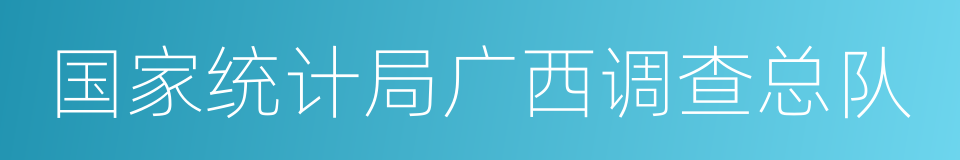 国家统计局广西调查总队的同义词