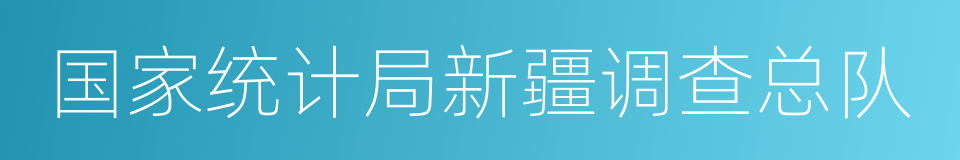 国家统计局新疆调查总队的同义词