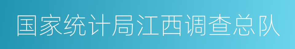 国家统计局江西调查总队的同义词