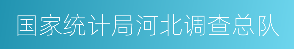 国家统计局河北调查总队的同义词