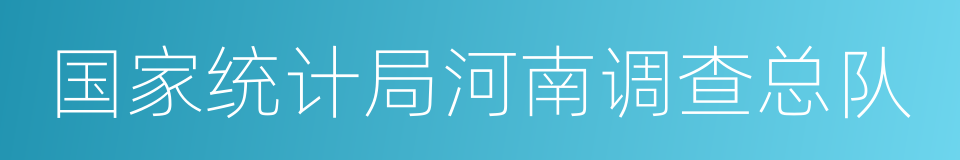 国家统计局河南调查总队的同义词